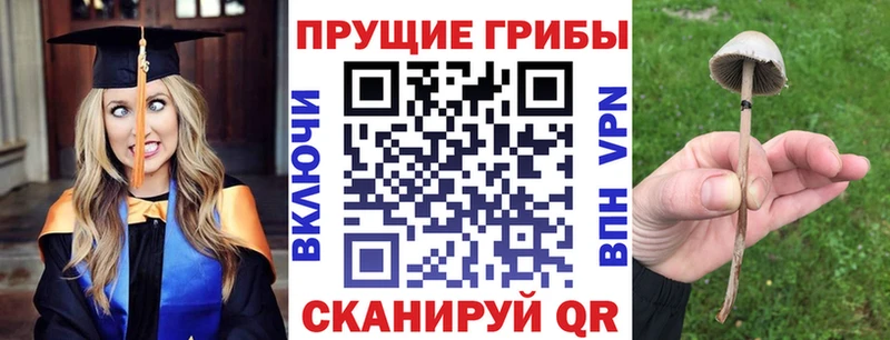 нарко площадка наркотические препараты  Губкин  Галлюциногенные грибы MAGIC MUSHROOMS 