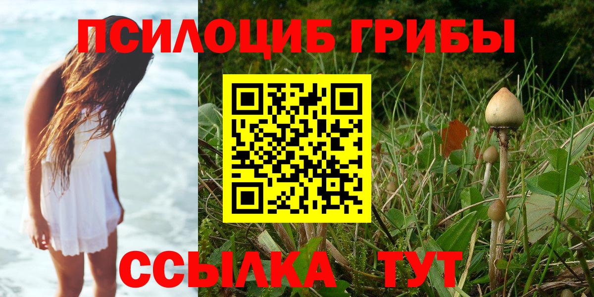 как найти закладки  Псилоцибиновые грибы прущие грибы  Вход с VPN  Губкин  Псилоцибиновые грибы ЛСД 