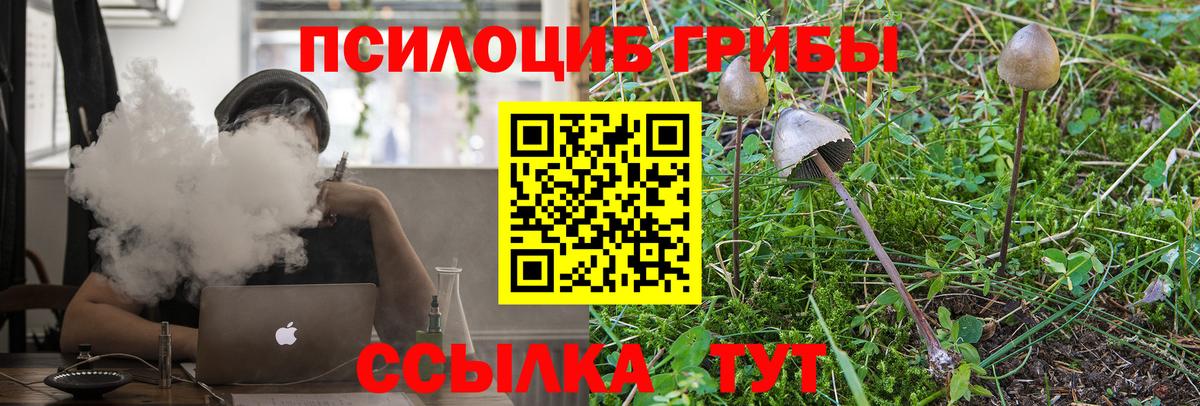Псилоцибиновые грибы Cubensis Губкин