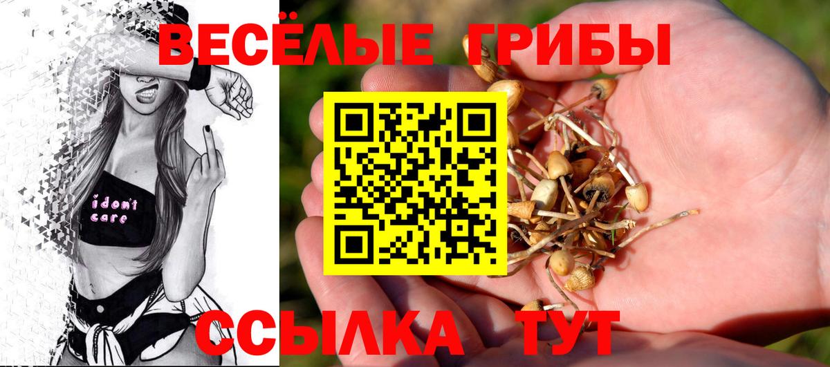 Галлюциногенные грибы мицелий Губкин