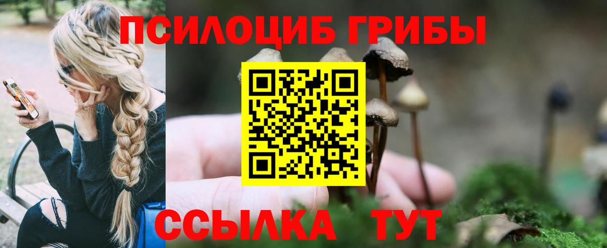 ЭКСТАЗИ Губкин