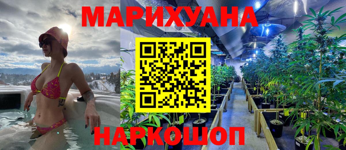 Канабис планчик  Губкин  МАРИХУАНА тримм  Каннабис ГИДРОПОН 