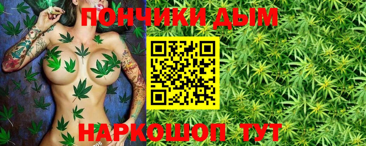 Губкин  Марихуана ГИДРОПОН  Вход с VPN  Бошки марихуана AK-47  Марихуана ГИДРОПОН 